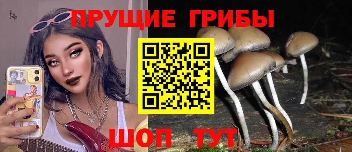 Псилоцибиновые грибы прущие грибы  Вход с VPN  Дмитров  купить   Псилоцибиновые грибы прущие грибы 